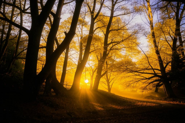 Осенний вечер («Есть в светлости осенних вечеро…»)