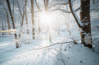 «Чародейкою Зимою...»