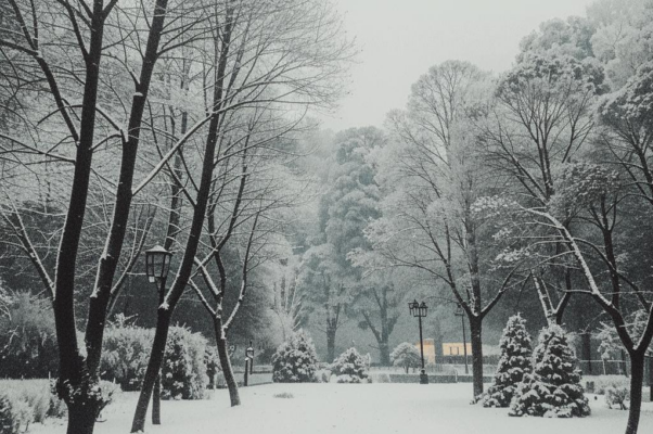 «На деревья и на зданья...»
