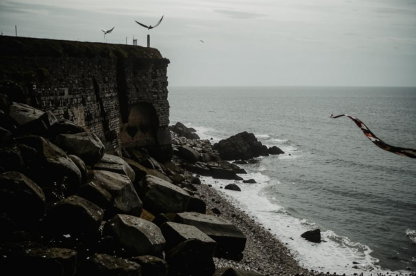 «Опять я вижу берег дикий...»