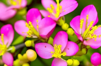 Памятник восстанию