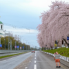 Баллада псковского шоссе