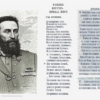 «Если б в сердце тебя я не грел, не ласкал...»