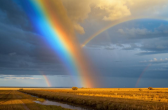 Нежданный дождь