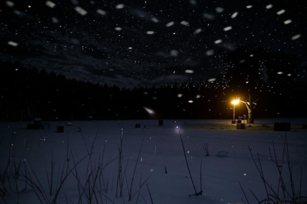 «Сумерки шире спадали...»