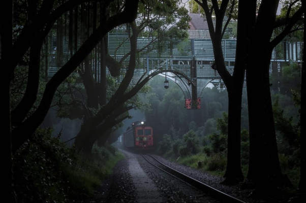 В парке («Воздух сладко дышит липами…»)