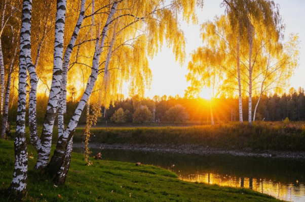 В роще («Раннею весною роща так тиха…»)