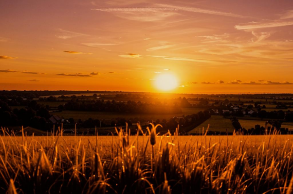 «Деревня скрылася... И нивы...»