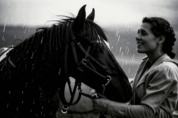 «На коня вскочил и в стремя...»
