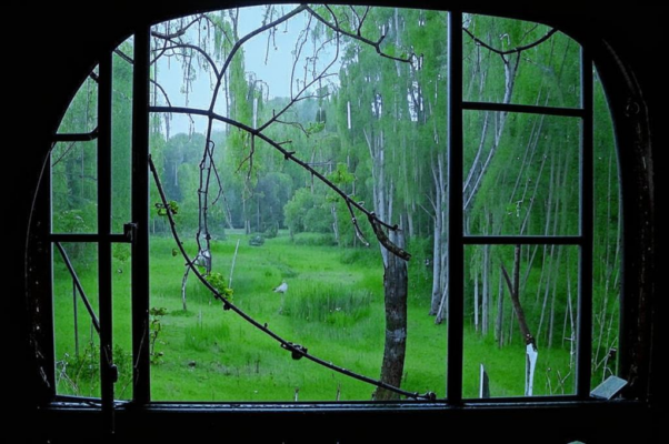 «Я сидел у окна, я смотрел в полутьму...»