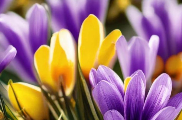 «Ты шьёшь. Но это ерунда...»