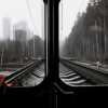 Подслушанный мною спор Золотых Сердец о бешемели
