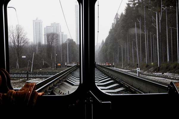 Подслушанный мною спор Золотых Сердец о бешемели