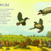 Черепаха и Селезни