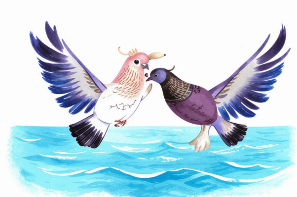 Два голубя