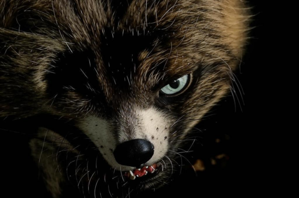 Медведь и Кошка