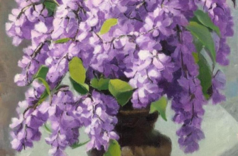 Сочинения Руссо Женевского перевод с французского 1776 года