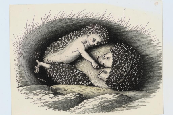 Человек и Хомяк