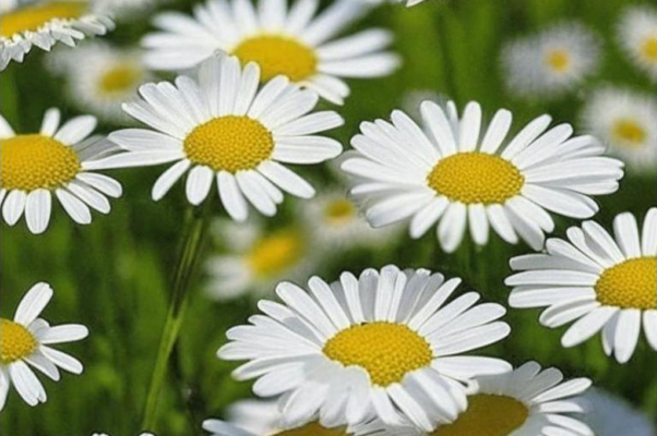 «Время сексуального подъема...»