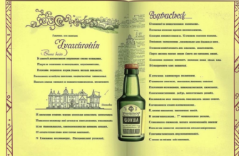 «Гводка...»