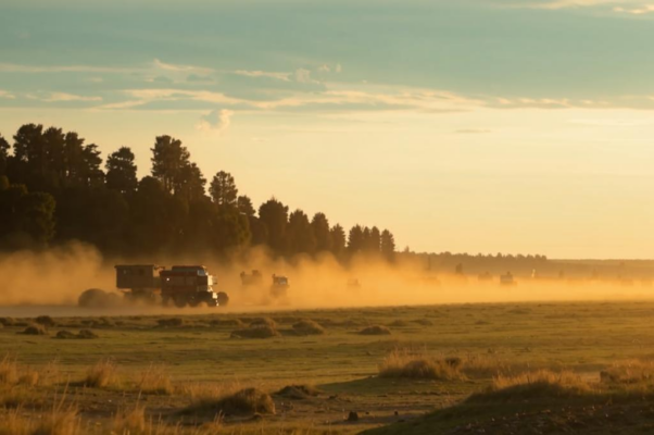 Город («Степь.  Солнце.  Пыль.  Ковыль.  Лес как утес…»)