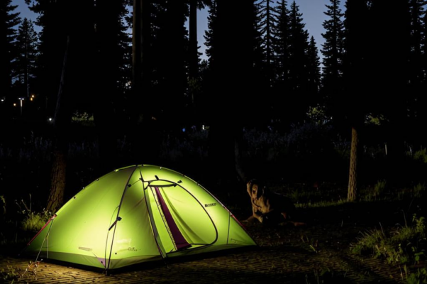 «У палатки сторож Тит...»