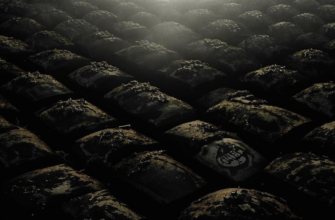 «Сомкнутым строем...»