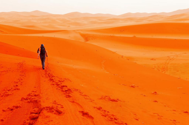 «Из пустыни за красной каемкой...»