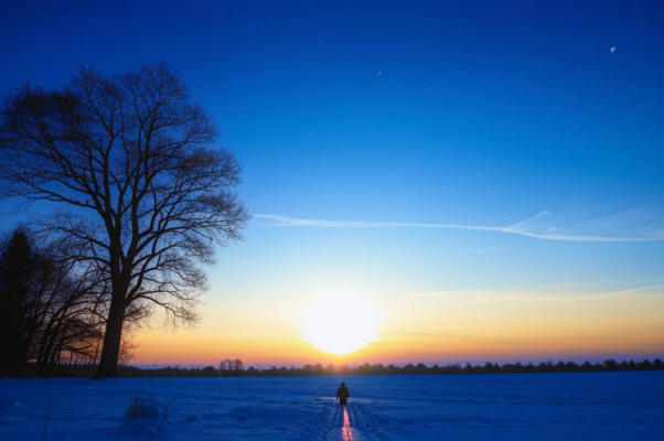 «Господи, откуда эта...»