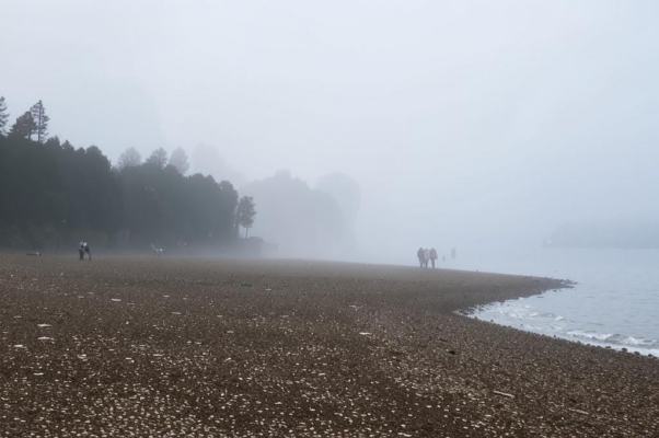 «Уйдя ногой в цветную гальку...»