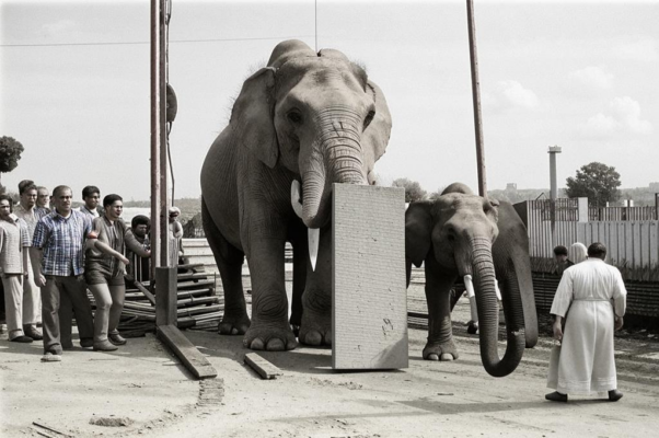 Подъемный кран