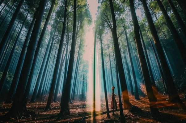 «Все лес да бес, а что до Бога...»