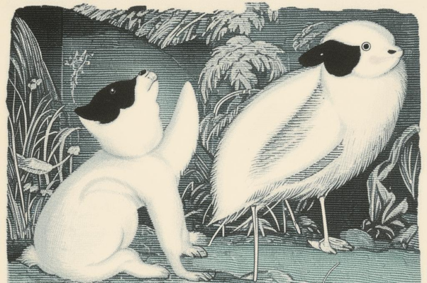 Котауси и Мауси