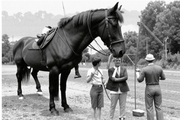 Солнечный луч на земле