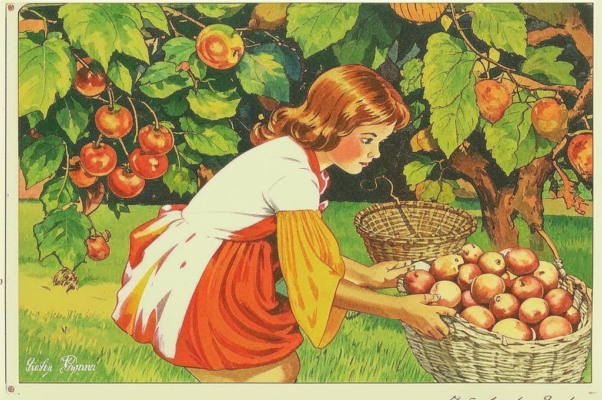 Туман («Много этого добр…»)