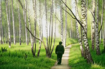 Догадка («Здесь кто-то уходил от солнца, от тепла…»)