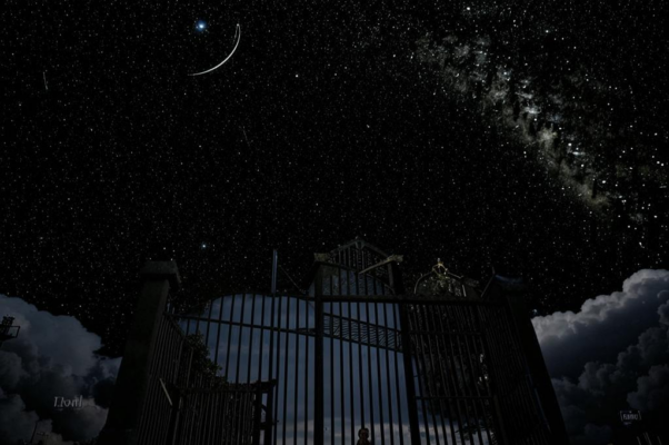 «Квадратное небо и звезды без счета...»