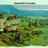 «Наше дело табак...»
