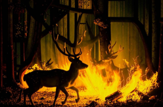 «Копытят снег усталые олени...»