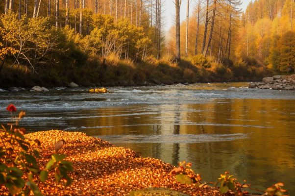 «Уходим — разно или розно...»