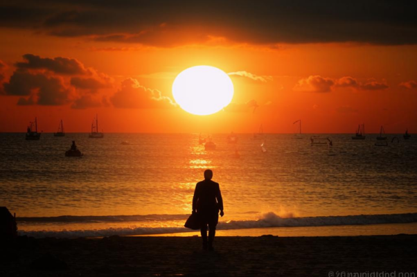 «Приятно, однако, побыть наедине с собой...»