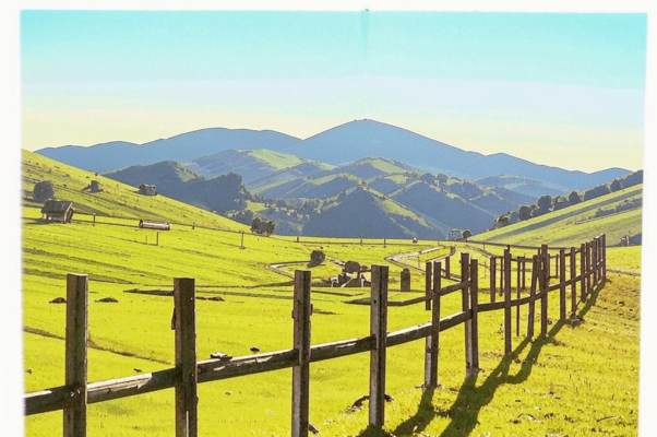 «Светит солнце еле-еле...»