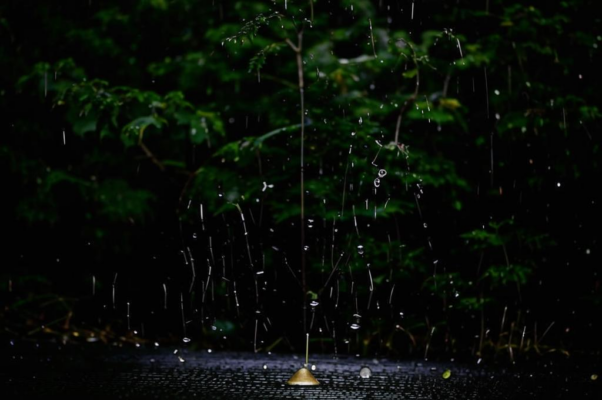 «Вот две — две капли дождевые...»