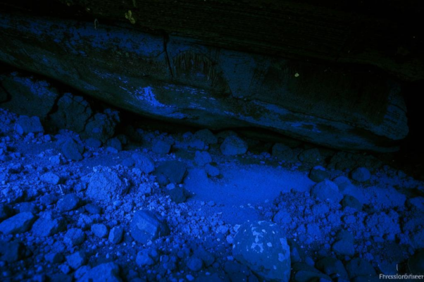 «Пещерной пылью, синей плесенью...»