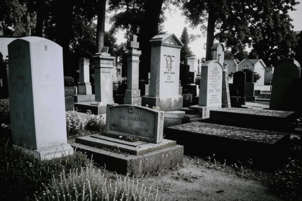 «Ведь только длинный ряд могил...»