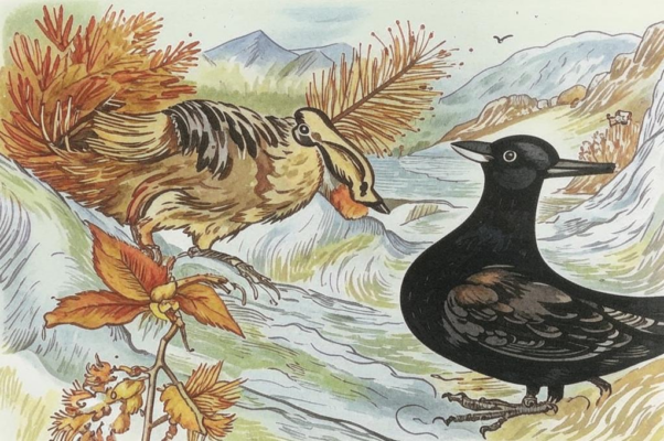 «Здесь морозы сушат реки...»