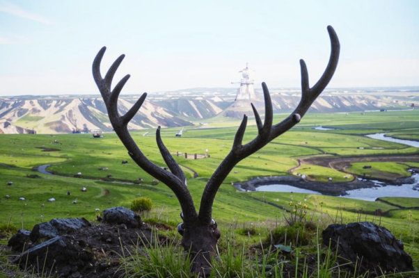 «Всюду мох, сухой, как порох...»