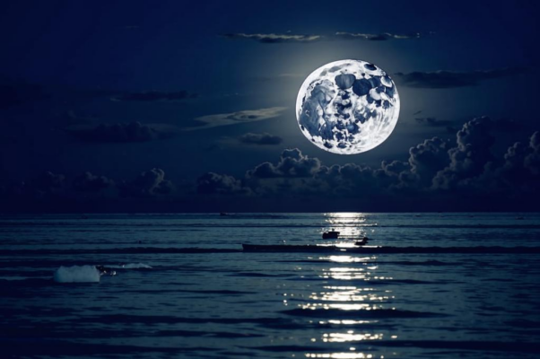 «Луна качает море...»