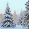 Стланик