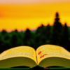 «Какой заслоню я книгой...»